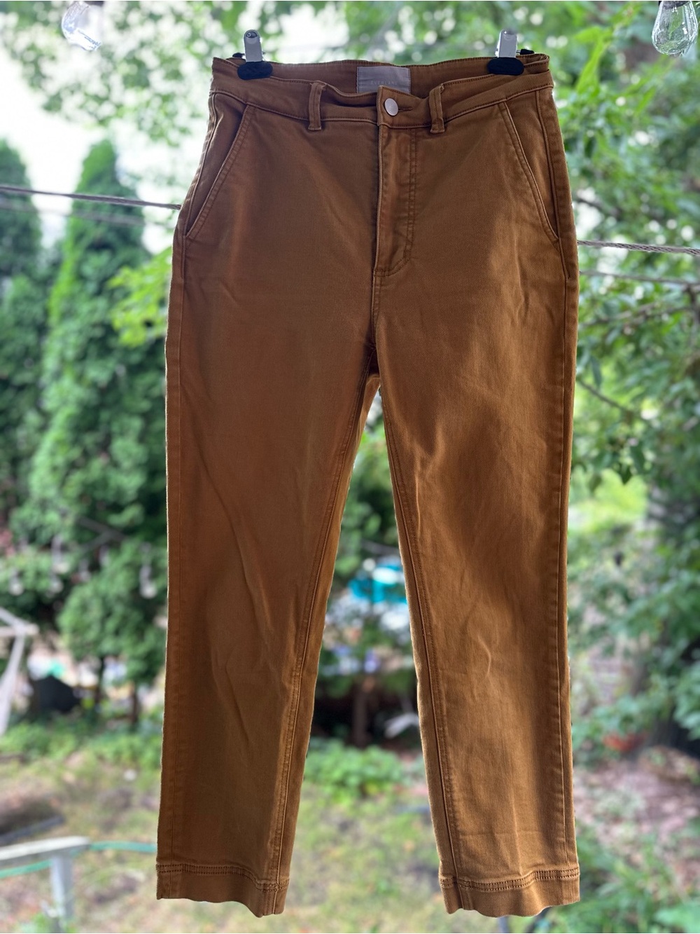 Everlane Brown/Tan High-Rise Chinos